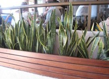 Kwikfynd Indoor Planting
cedarcreek