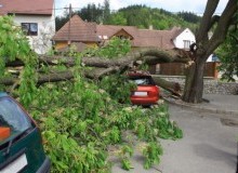 Kwikfynd Tree Cutting Services
cedarcreek
